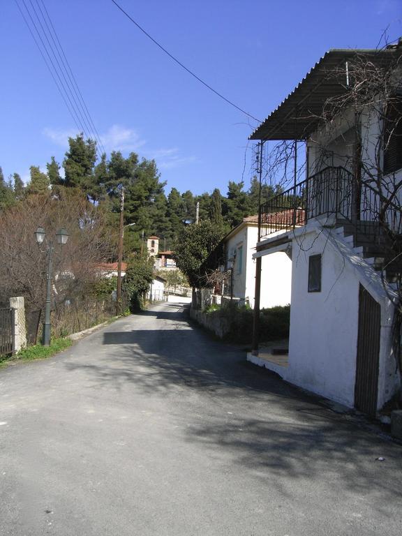 Village Holiday House Nick アギア・パラスカヴィ エクステリア 写真